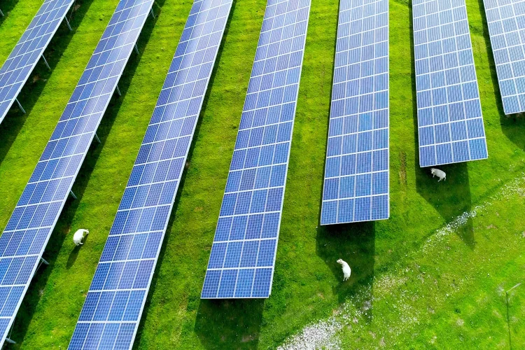 Erneuerbare Energien und Photovoltaik-Anlagen zur nachhaltigen Energiegewinnung